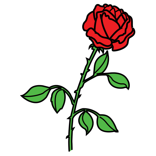 rose