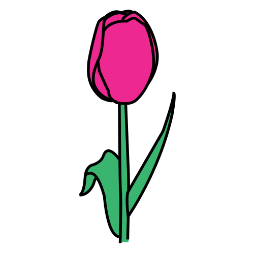 tulip
