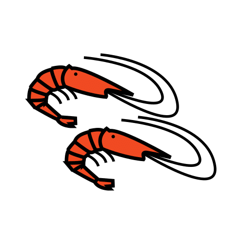 shrimps