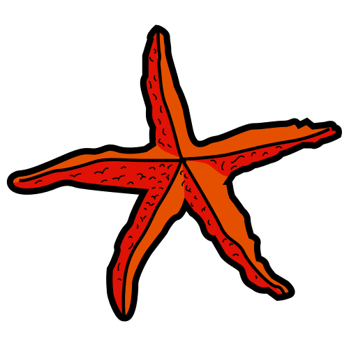 starfish