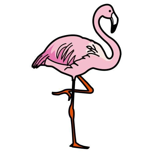flamingo