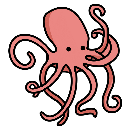 octopus