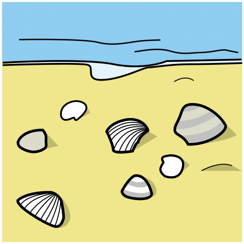 conchas marinas