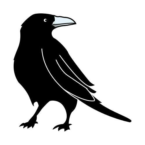 raven
