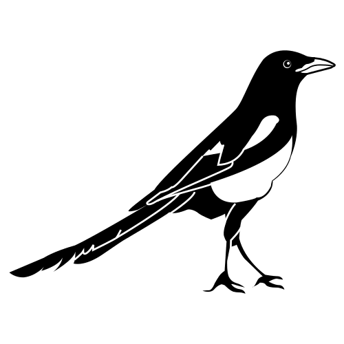 magpie