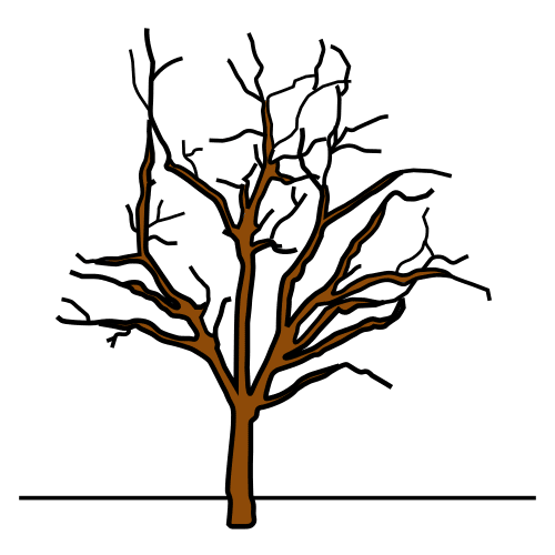 Ã¡rbol de invierno