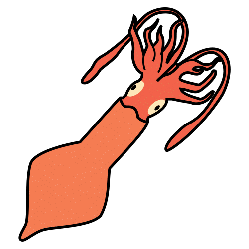 squid
