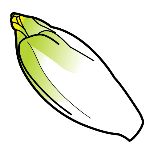 endive