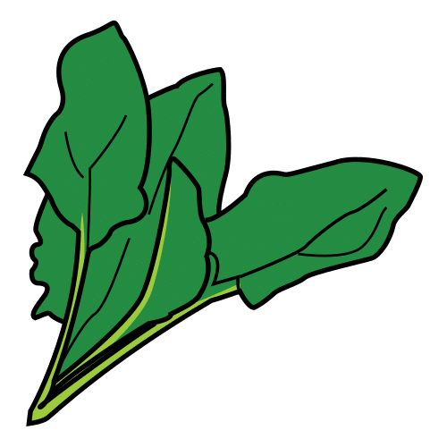 spinachs