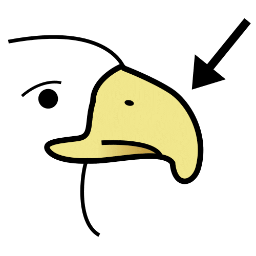 beak