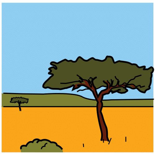 savanne