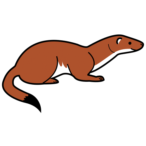weasel