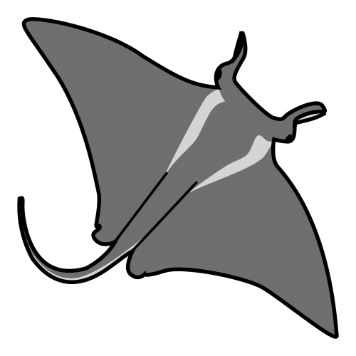 manta