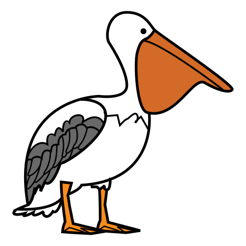 pelican