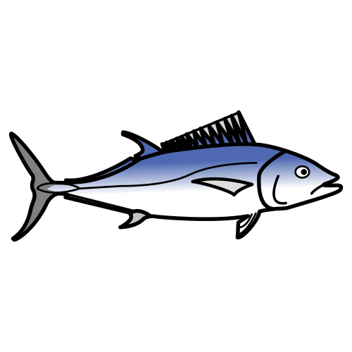 tuna
