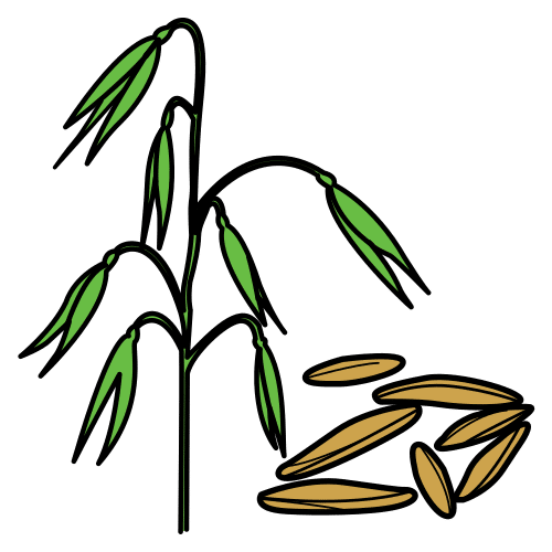 oat