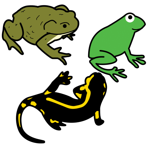 amphibians