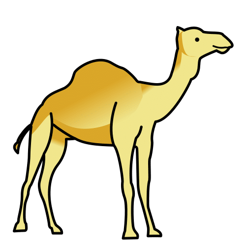 dromedario