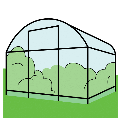 greenhouse