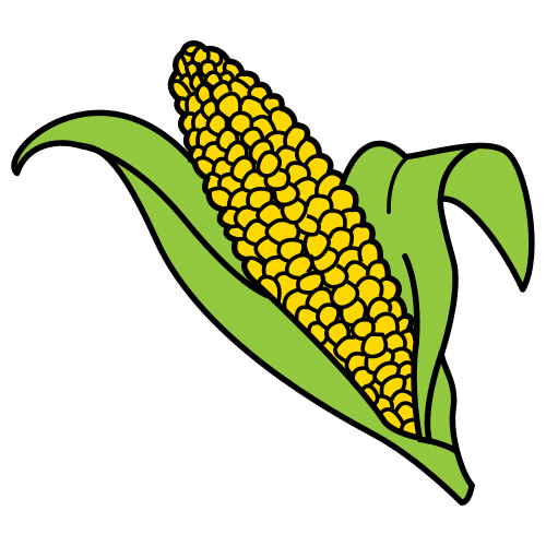 corncob