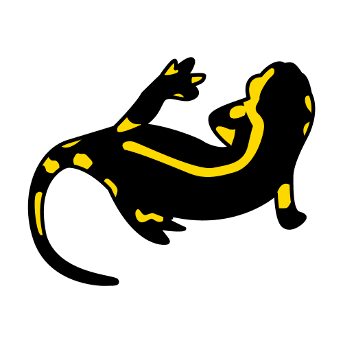 salamander