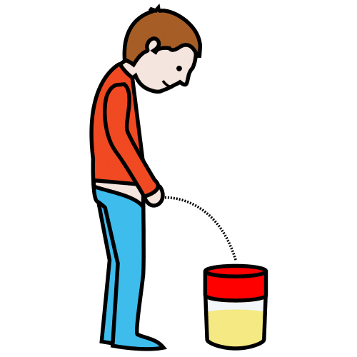 anÃ¡lisis de orina