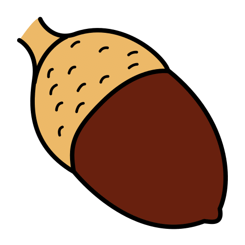 acorn