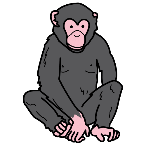 chimpansee