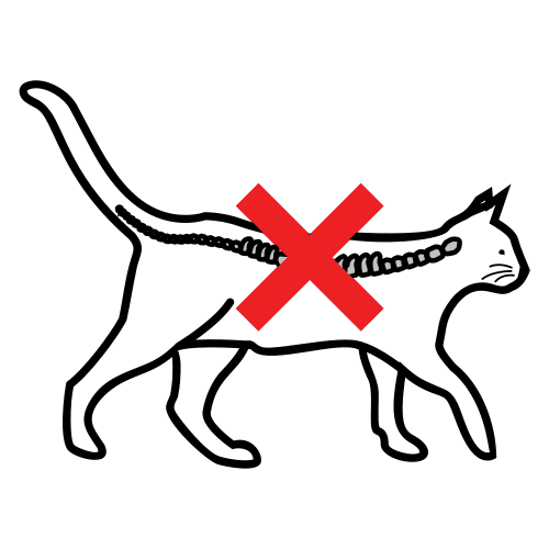 безгръбначно животно