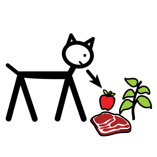 всеядно животно