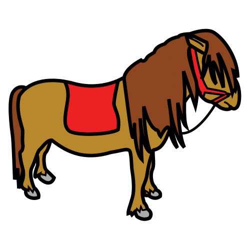 pony