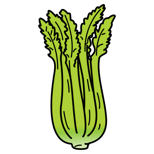 celery