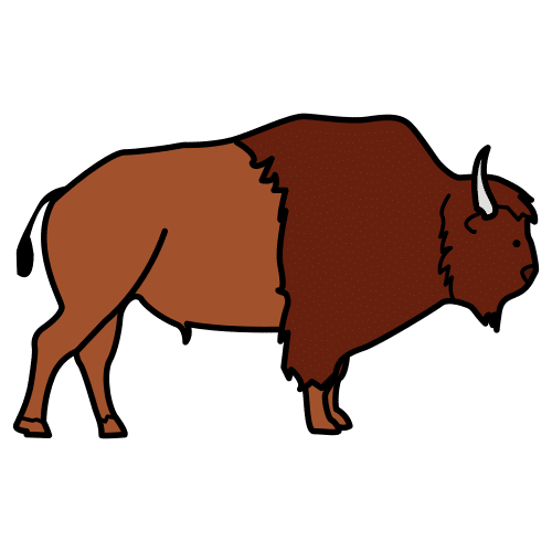bison