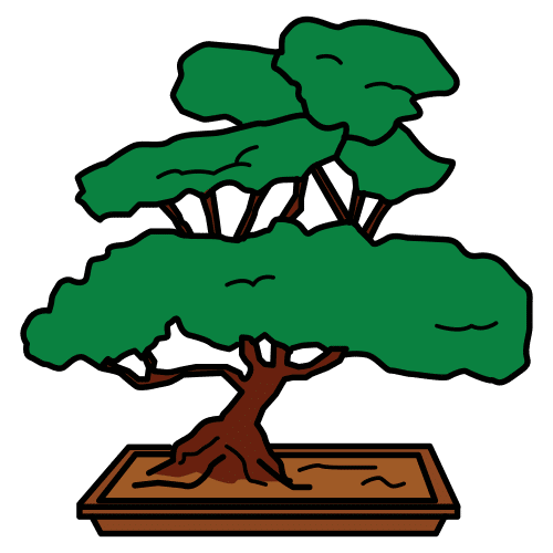 bonsai