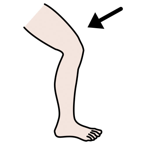 leg