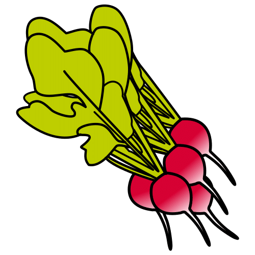 radishes