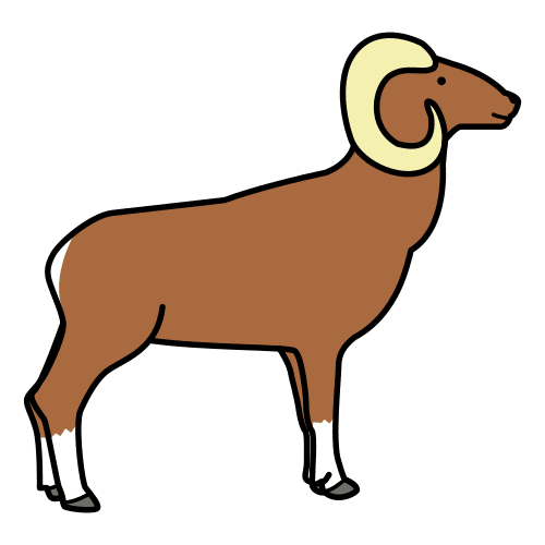 ram