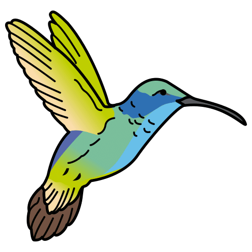 colibrÃ­