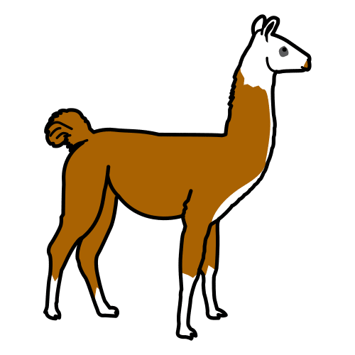 llama