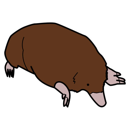 mole