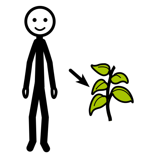 вегетарианец