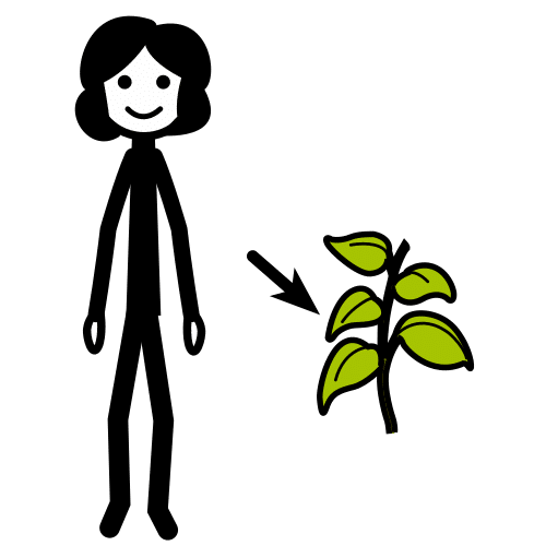 вегетарианка