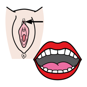 sexo oral, cunnilingus