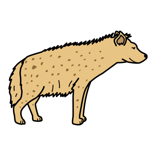 hyena