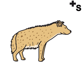 hyenas