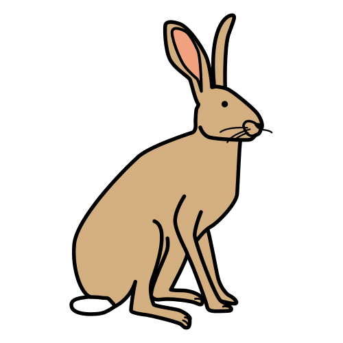 hare