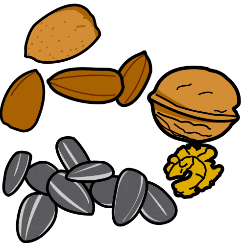 dry fruit