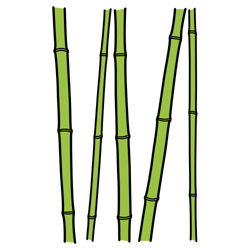 bamboo