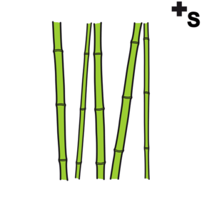 bamboo