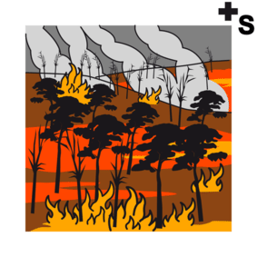 forestfire 